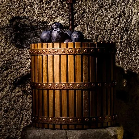 Agriturismo Il Vecchio Torchio Çiftlik konaklama Teglio